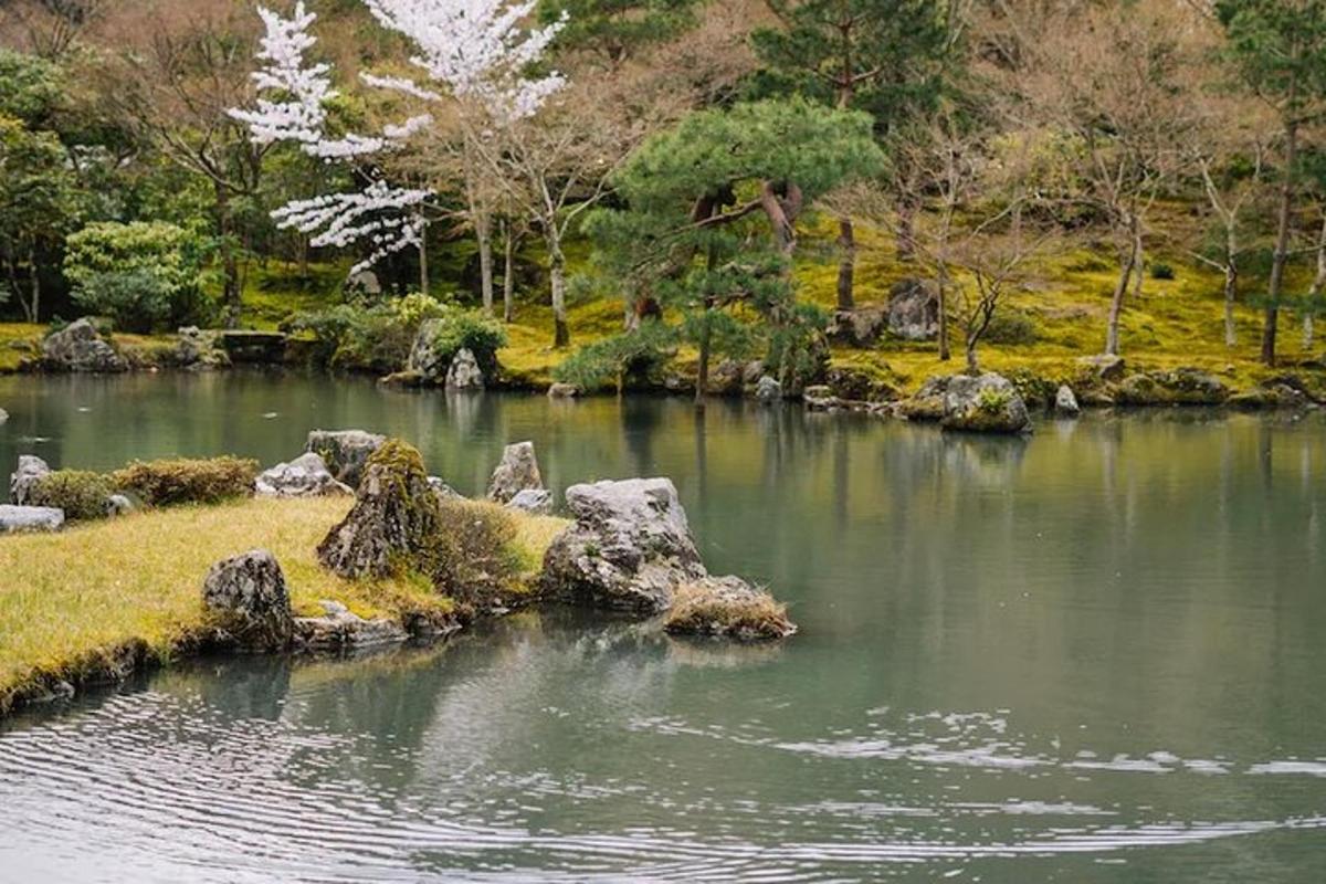 a pond in a park with rocks and trees