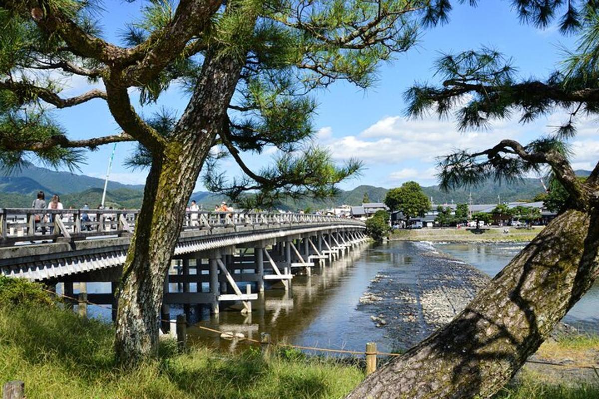 a bridge over a river with people walking on it