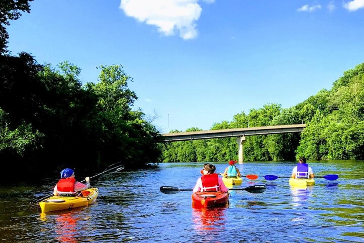 a group of people in kayaks on a river