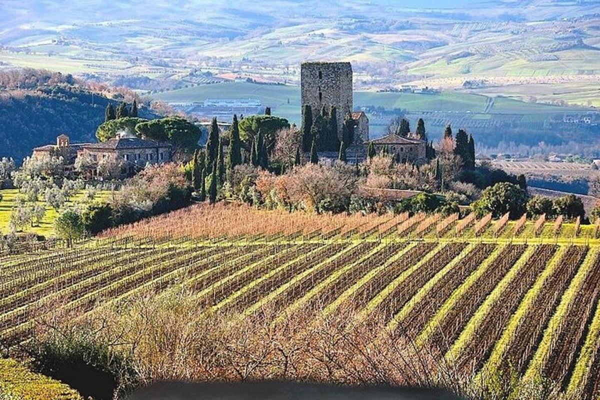 Un castillo en la cima de una colina con un campo