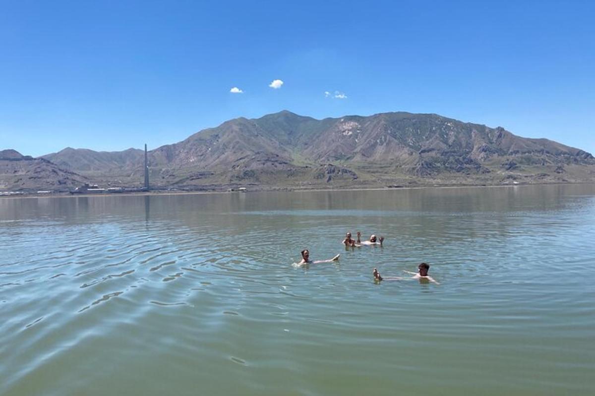 a group of people swimming in a body of water