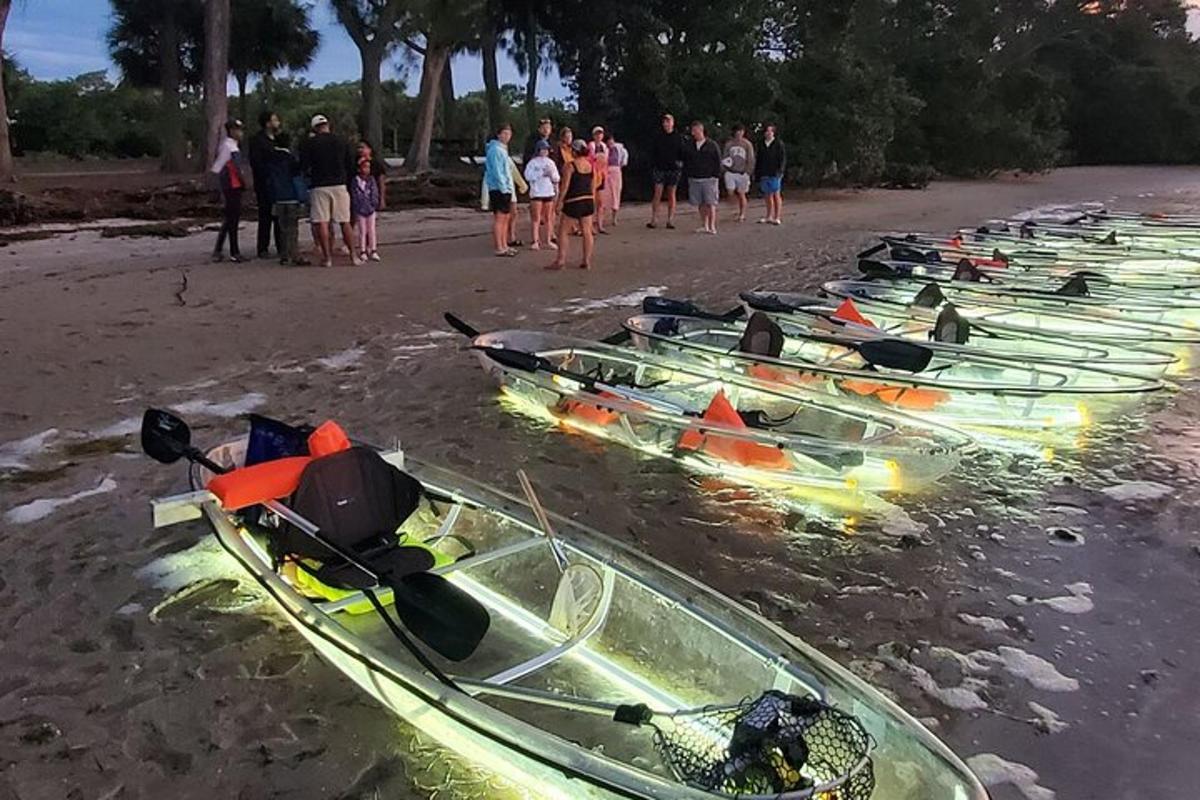 a group of kayaks are lined up on the beach