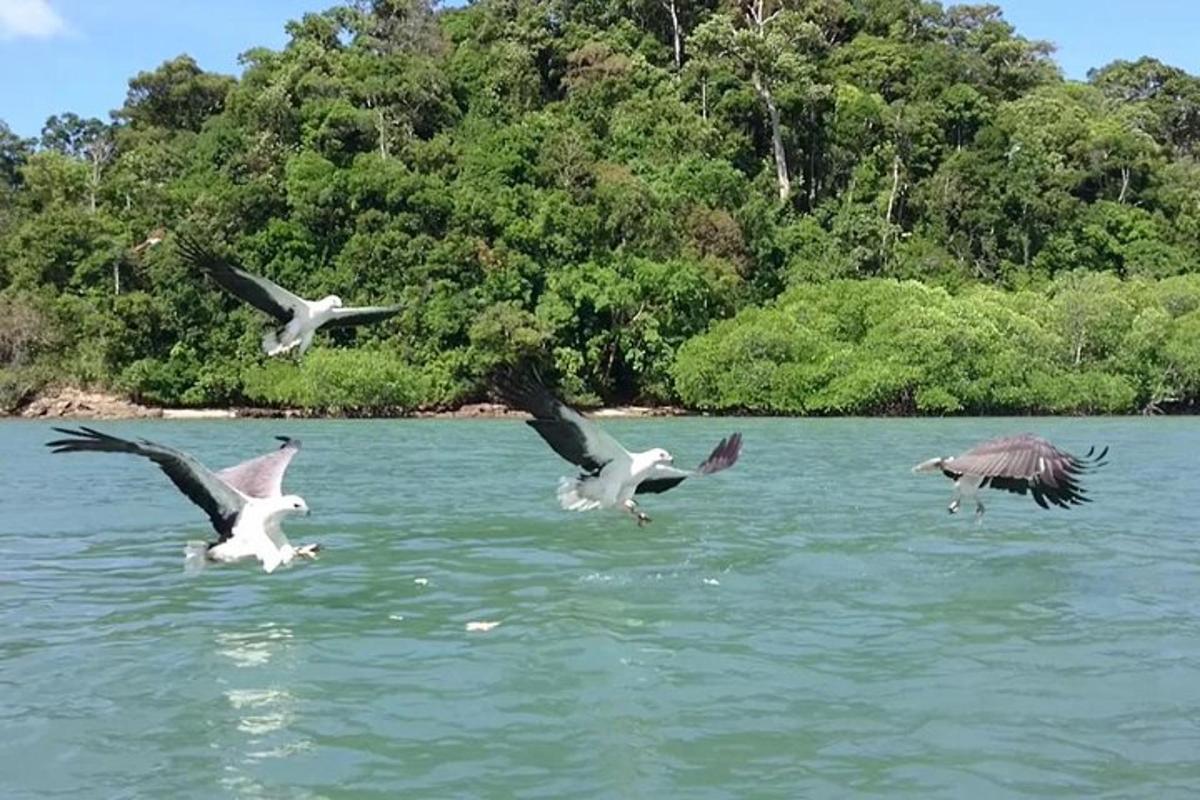 a group of birds flying over a body of water
