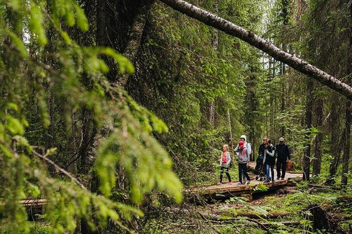 a group of people walking across a bridge in a forest