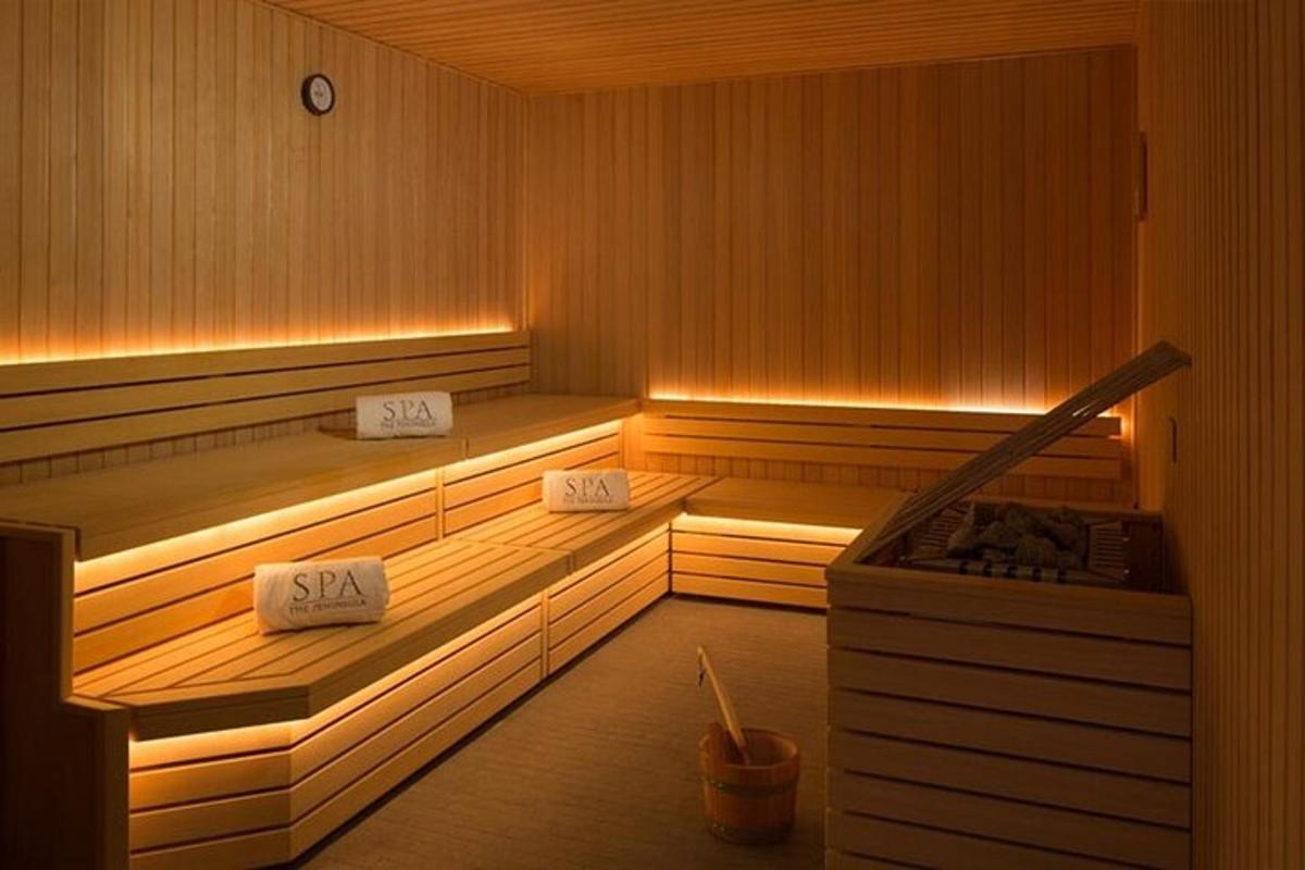 sauna se dvěma lavicemi a kamny v ní