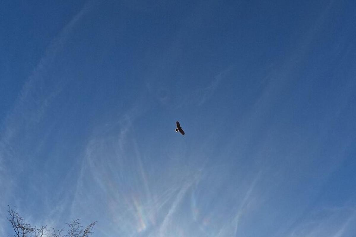 um avião está voando no céu azul
