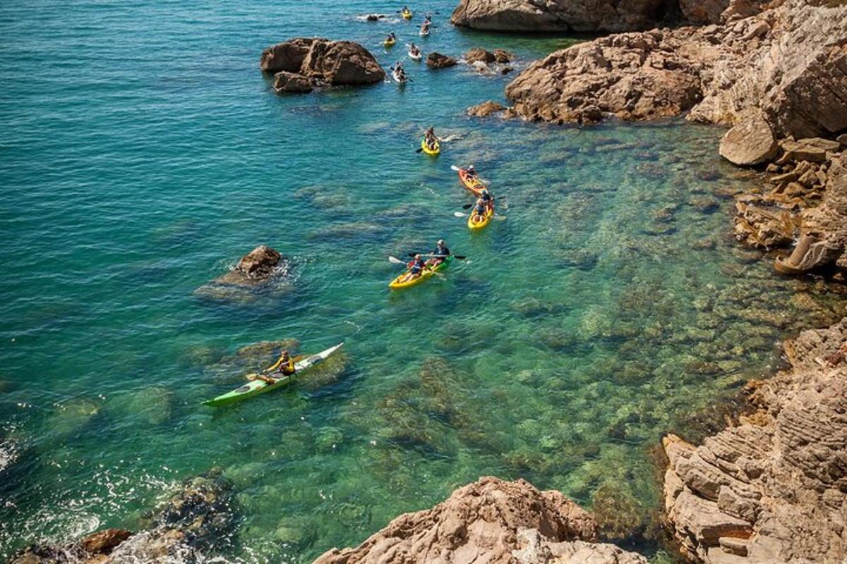 a group of people on kayaks in a body of water