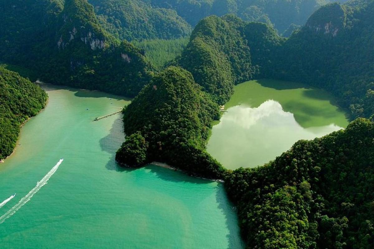 isang aerial view ng isang ilog na may berdeng tubig at mga puno