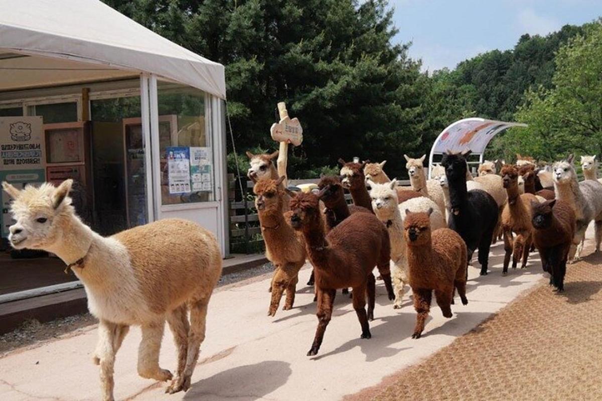 투어 액티비티 사진 6번
