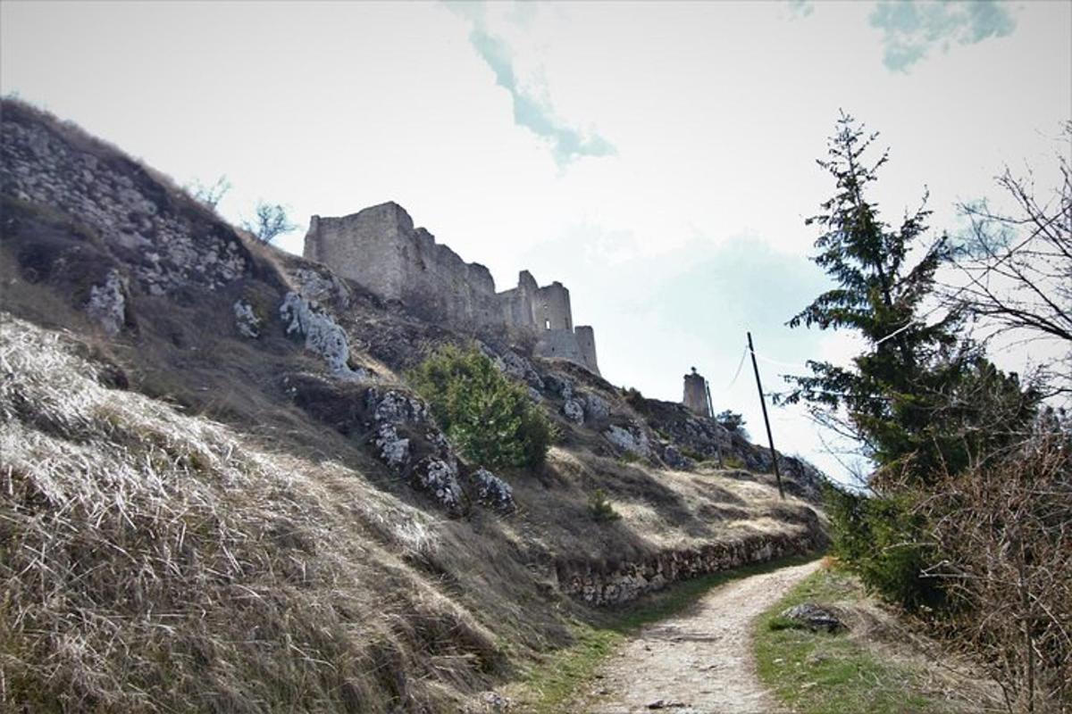 Foto dell’attrazione numero 4