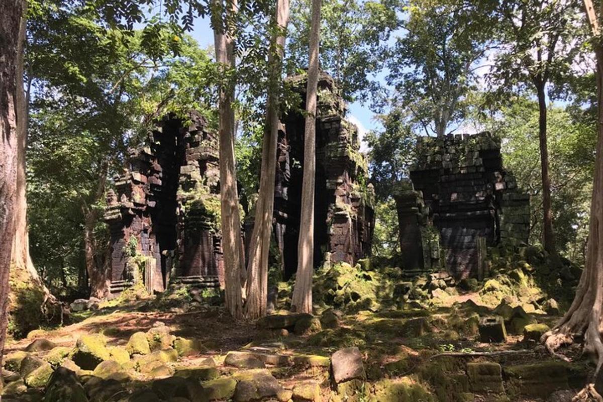 um templo em uma floresta com árvores e pedras