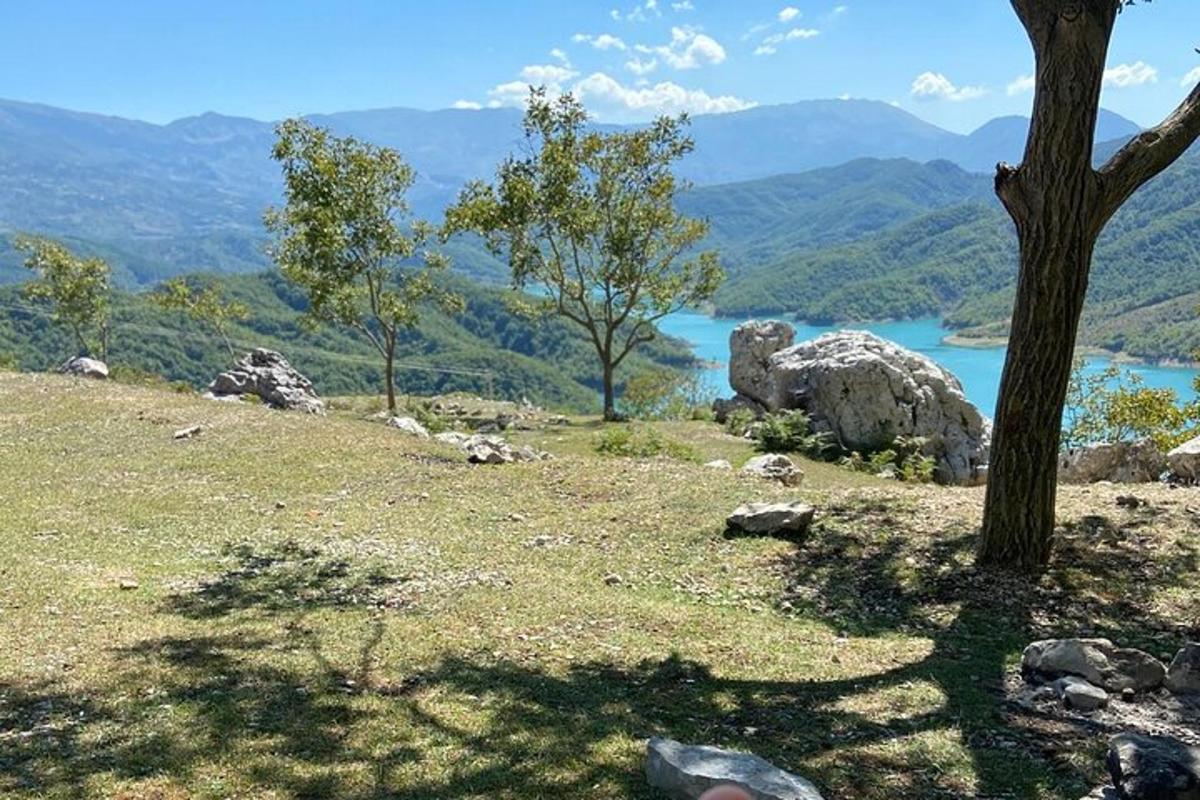 un arbre en un turó amb vistes a un llac