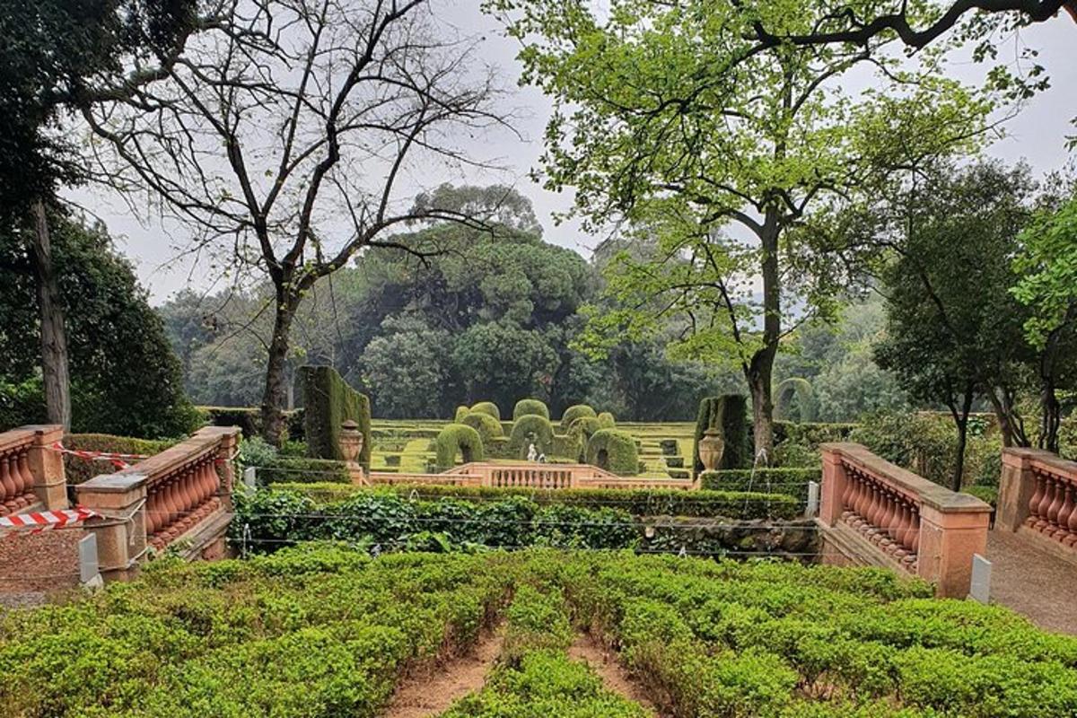 um jardim com sebes e um parque com árvores