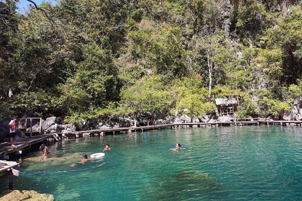 a group of people swimming in a pool of water