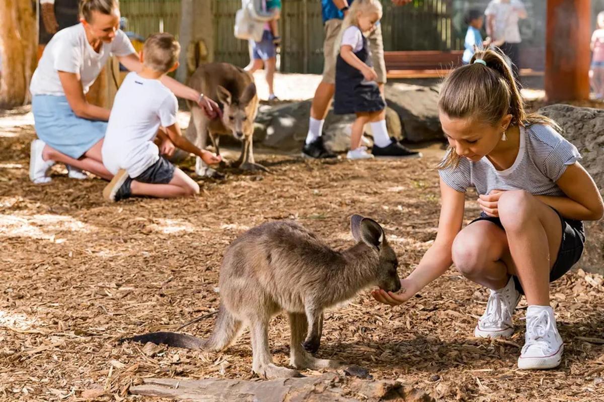 una ragazzina che accarezza un capretto allo zoo