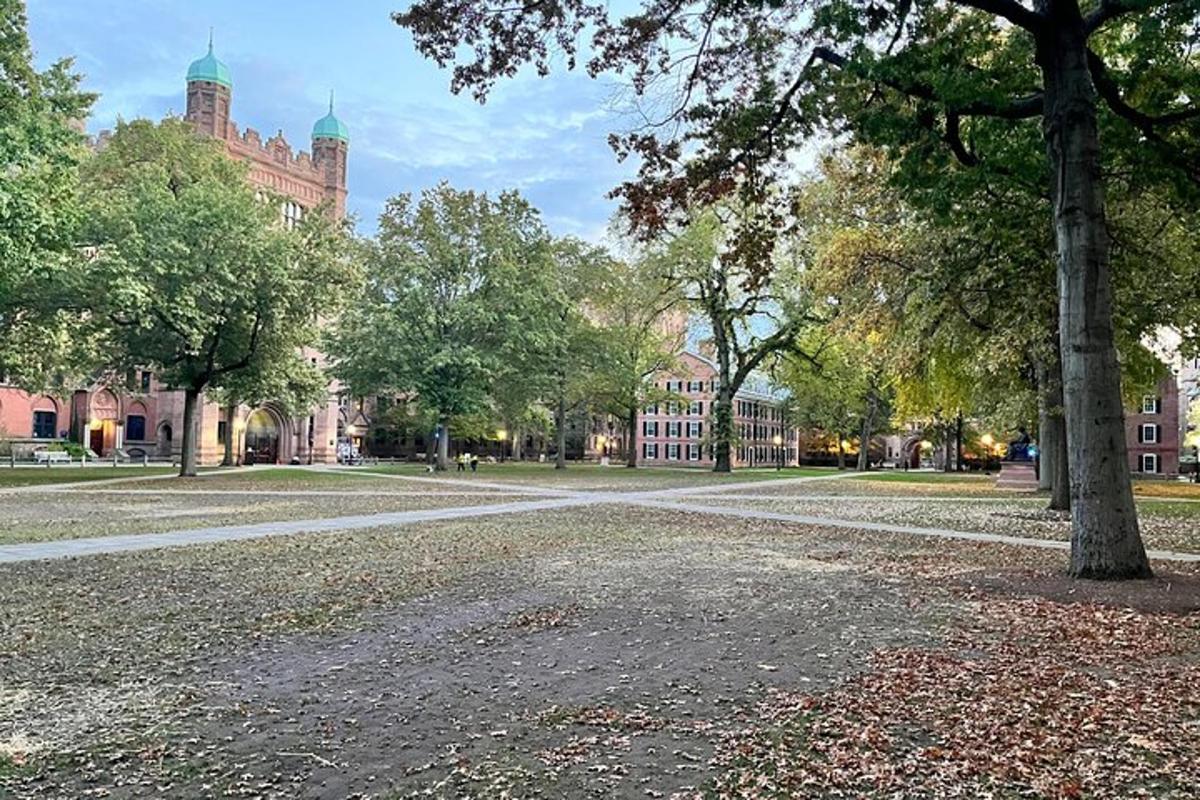 um campus universitário com uma árvore e um prédio