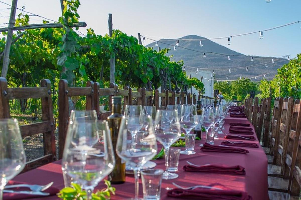 un lungo tavolo con bicchieri di vino in un vigneto