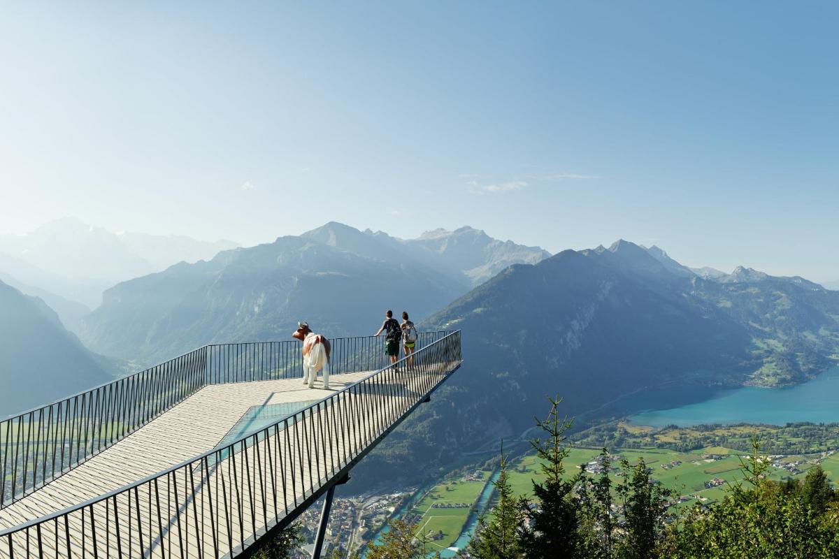 two people standing on a viewing platform at the top of a mountain