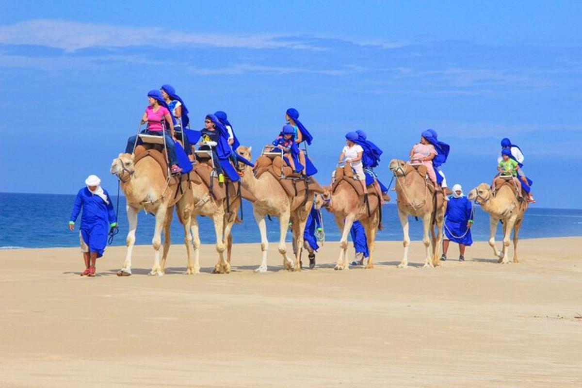 un groupe de personnes chevauchant des chameaux sur la plage