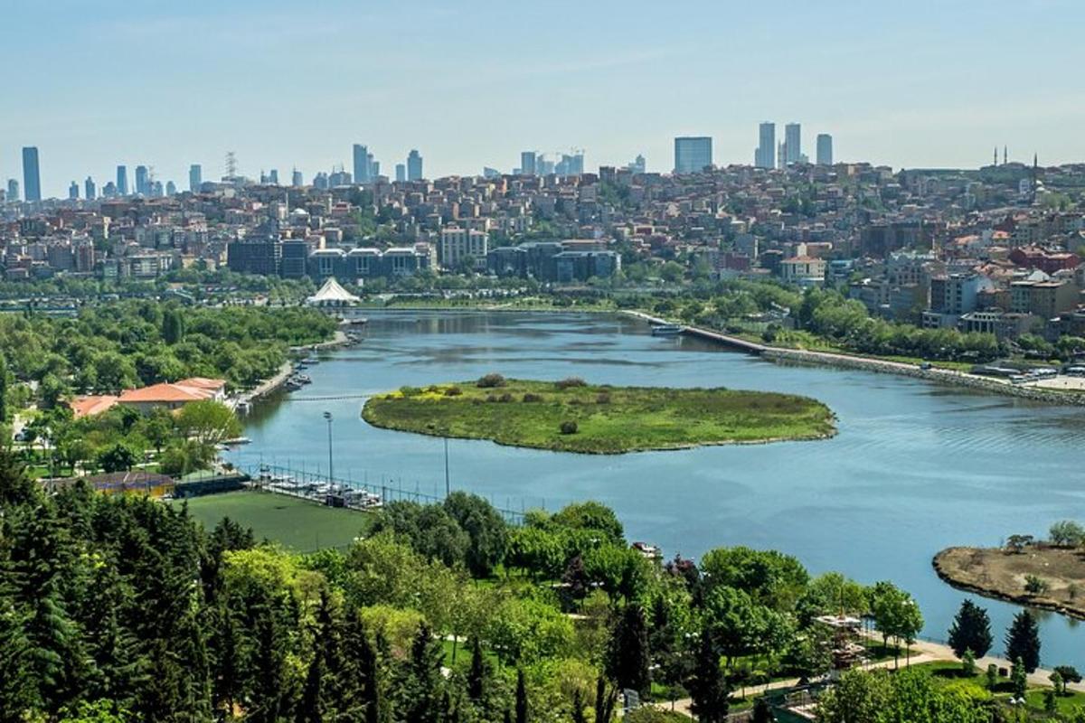 eine Insel in einem Fluss mit einer Stadt im Hintergrund