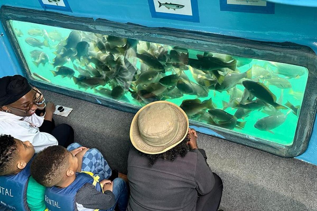 un grup de persones mirant peixos en un aquari