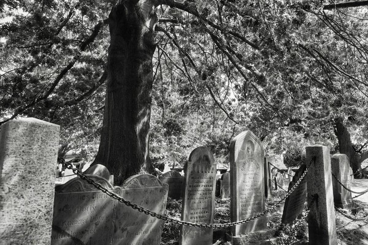 uma foto em preto e branco de um cemitério com uma árvore
