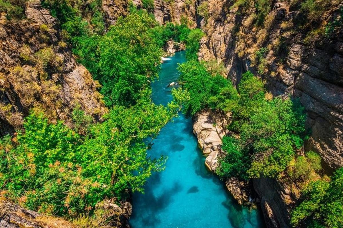 an aerial view of a river in a canyon