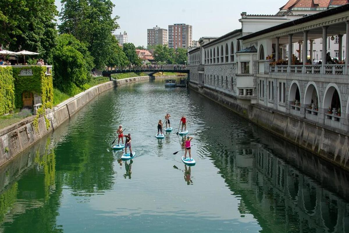 skupina lidí na paddleboardech v řece