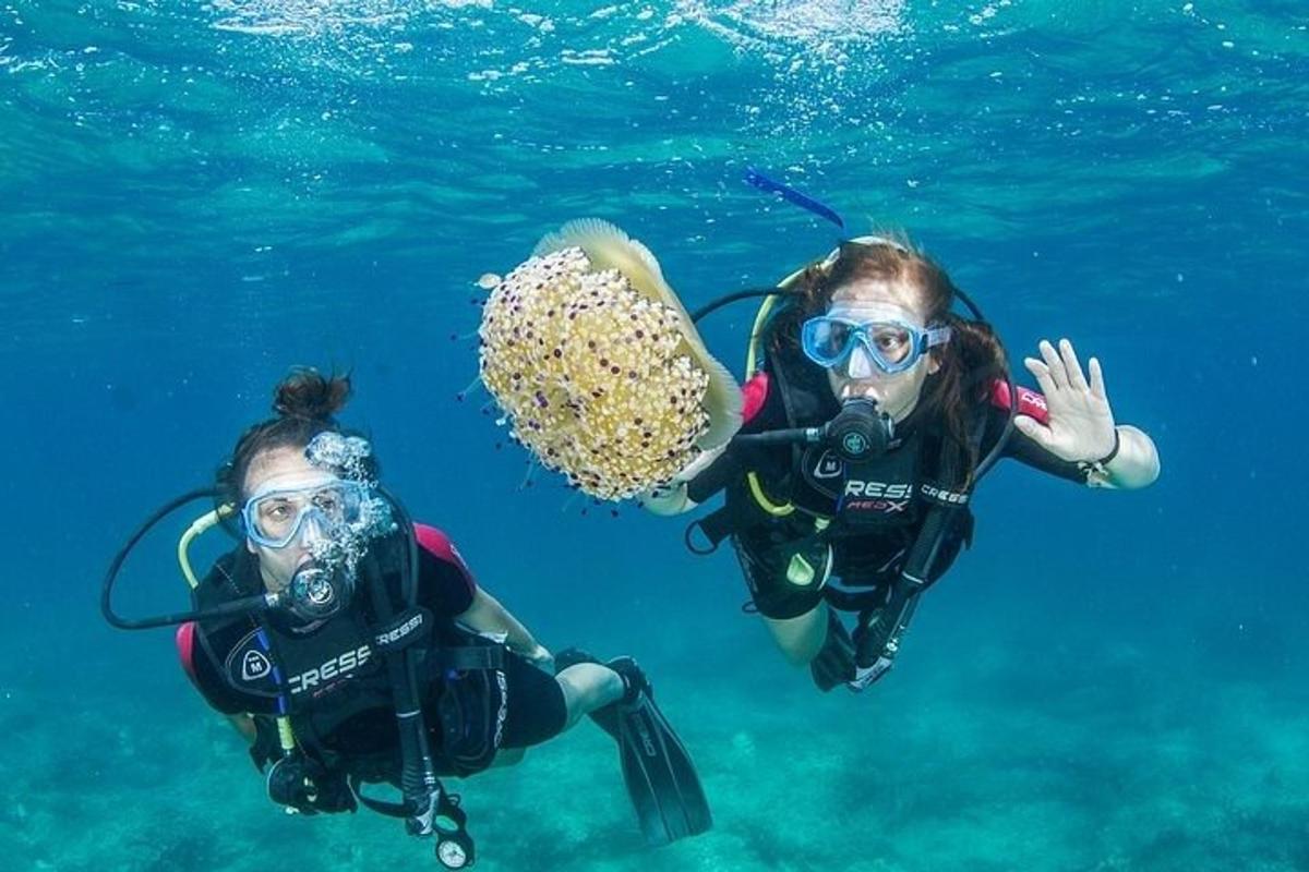 due persone in acqua con una conchiglia