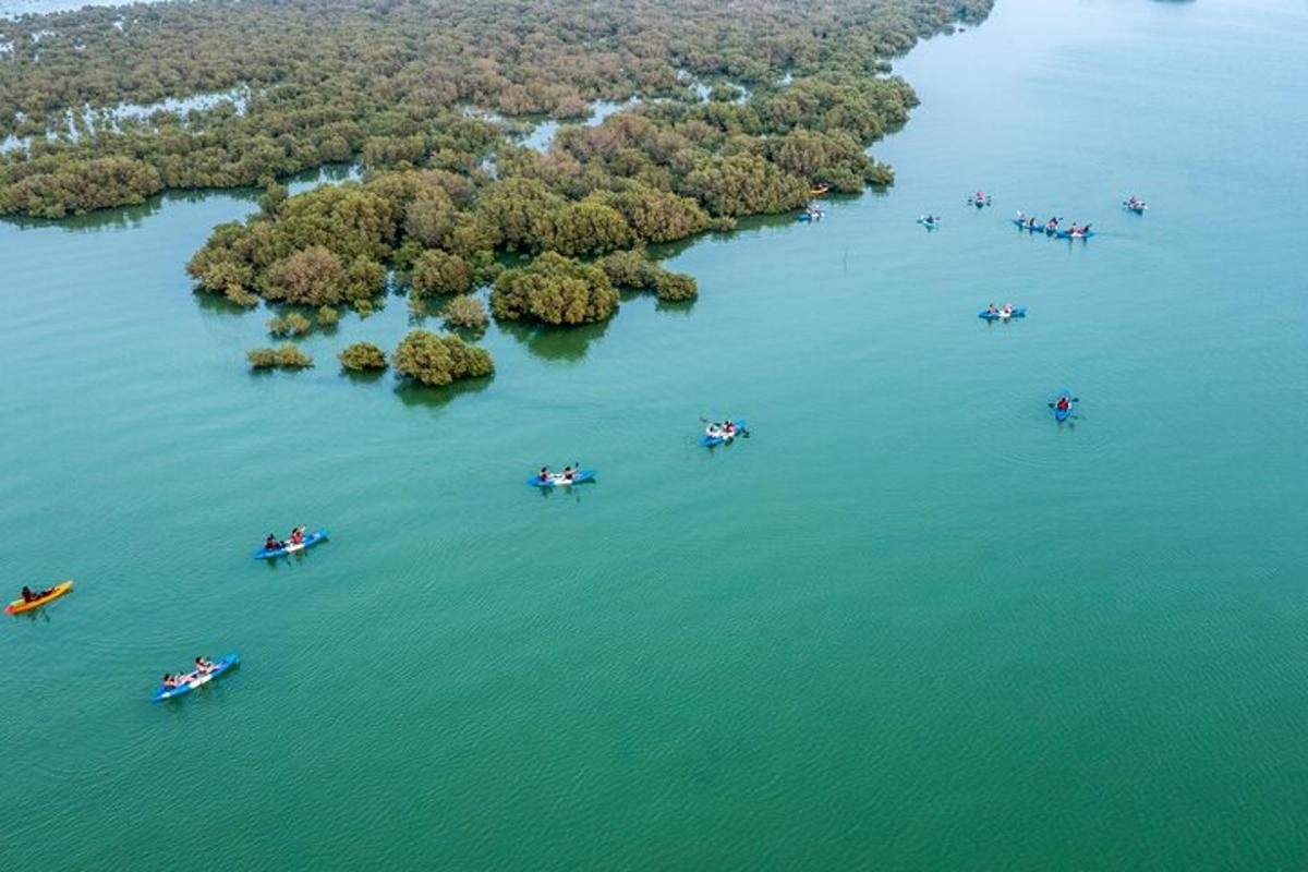 an aerial view of a group of boats on the water