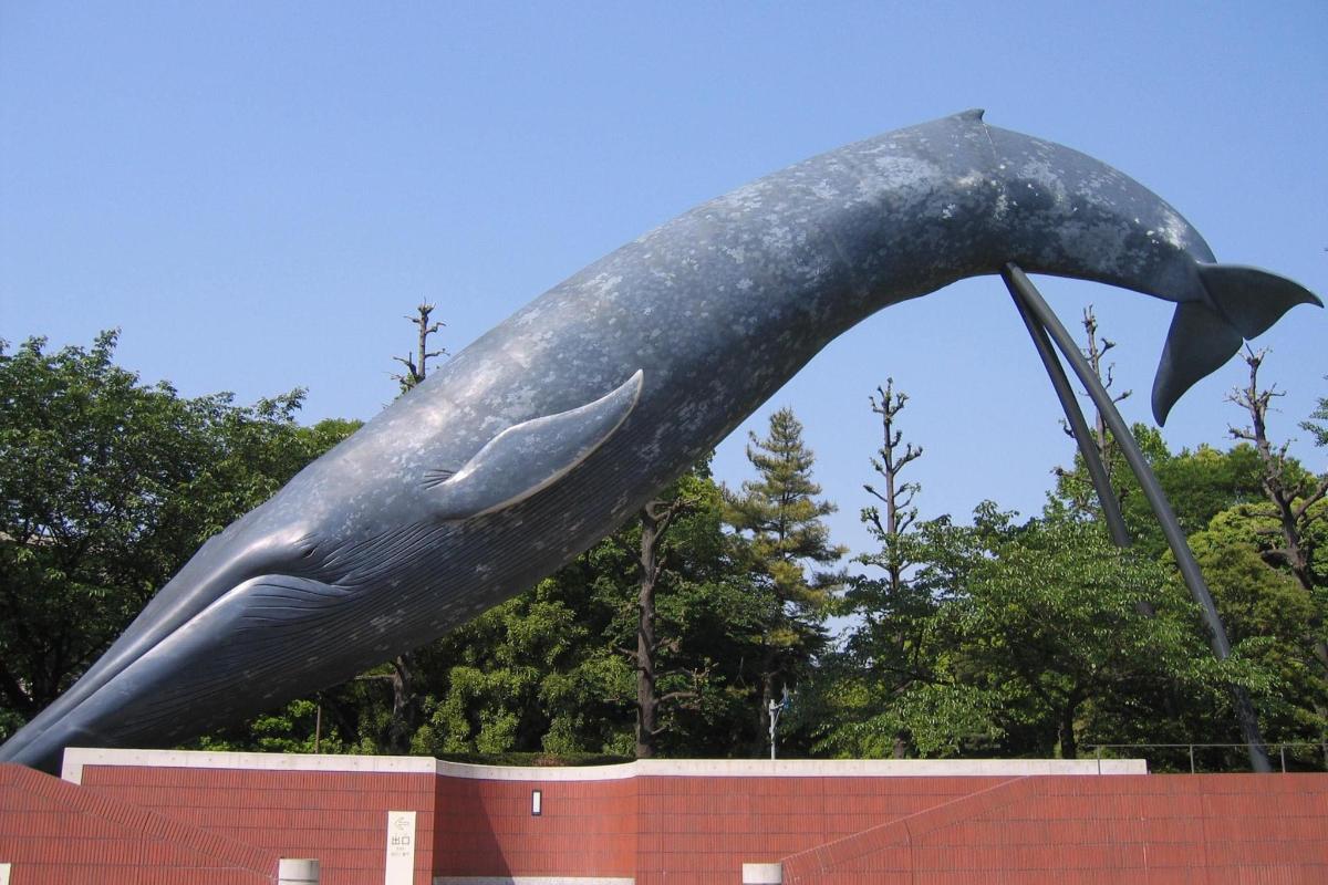 a statue of a whale in front of a wall