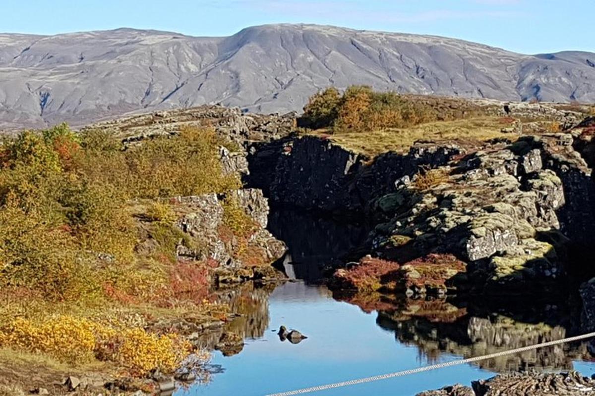 putns, kas lido pāri upei kanjonā