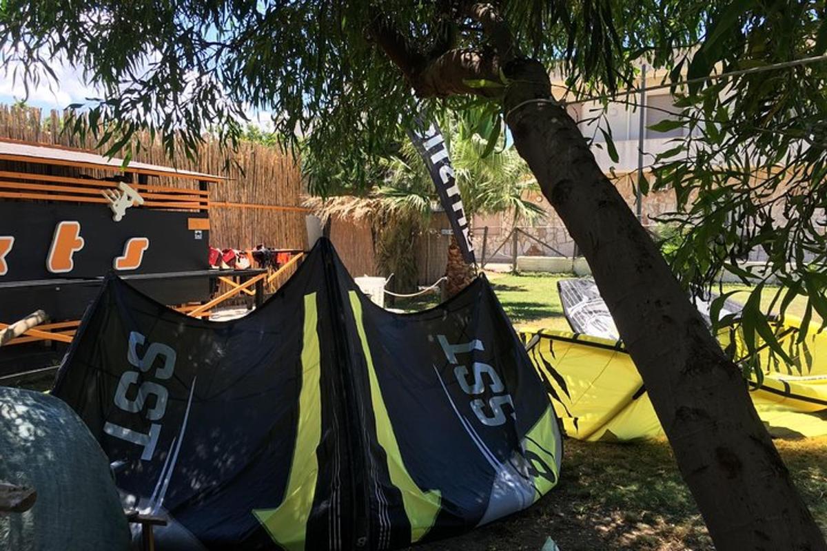 una tenda e un'amaca sotto un albero