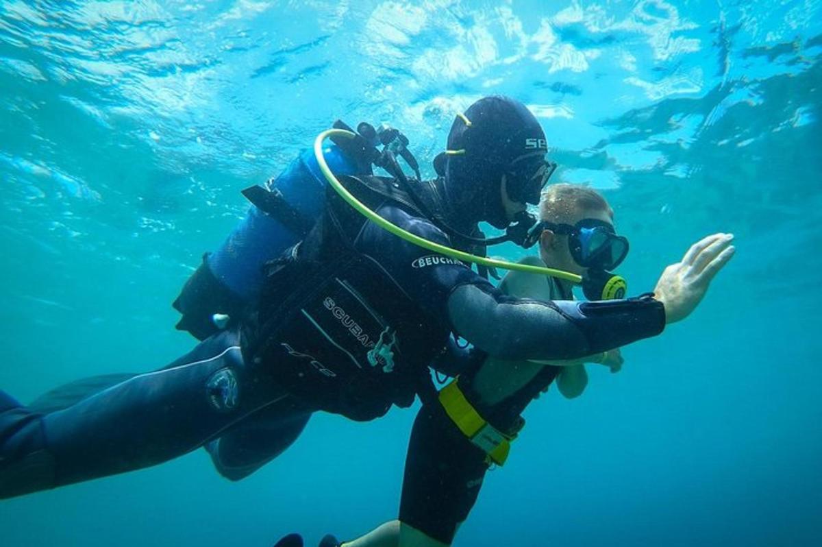 due persone si stanno tuffando in acqua