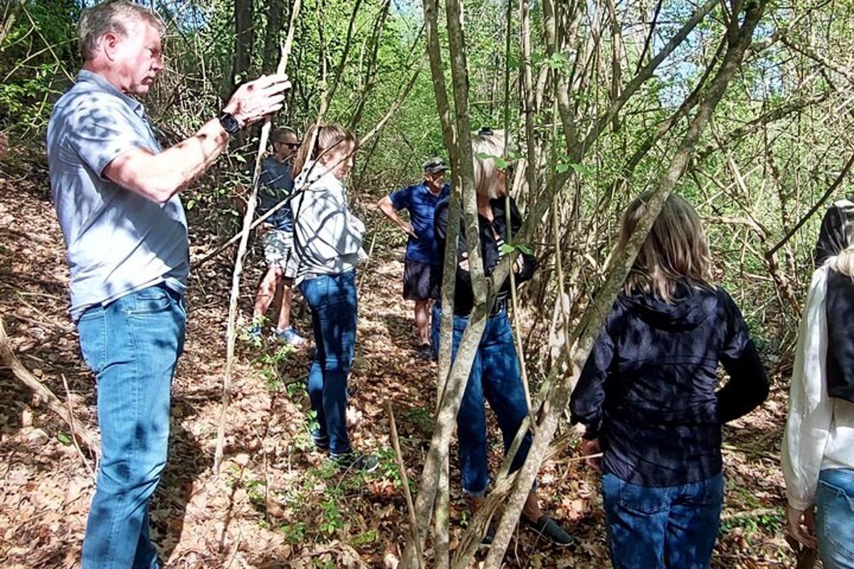 Un grupo de personas caminando por un sendero en el bosque.
