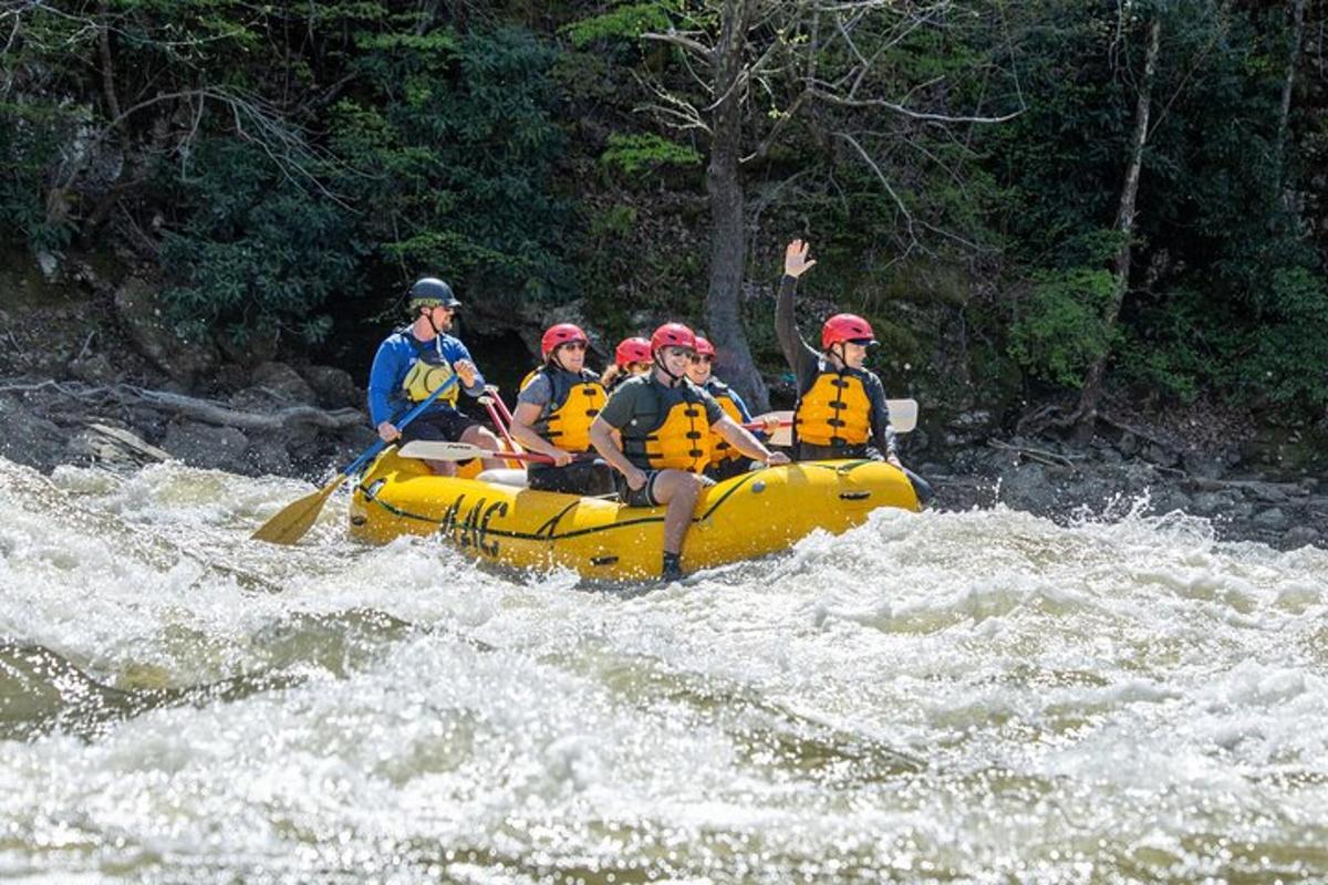 a group of people in a raft on a river
