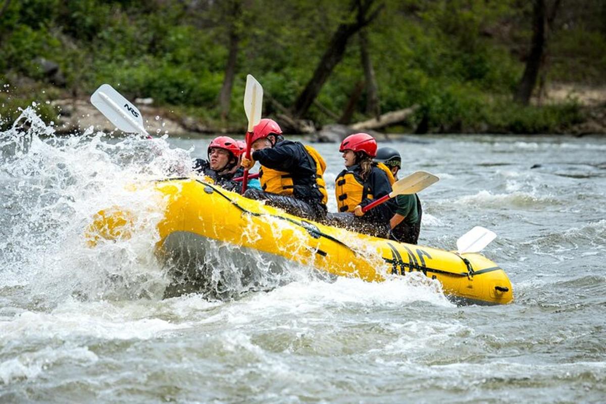 a group of people in a raft on a river
