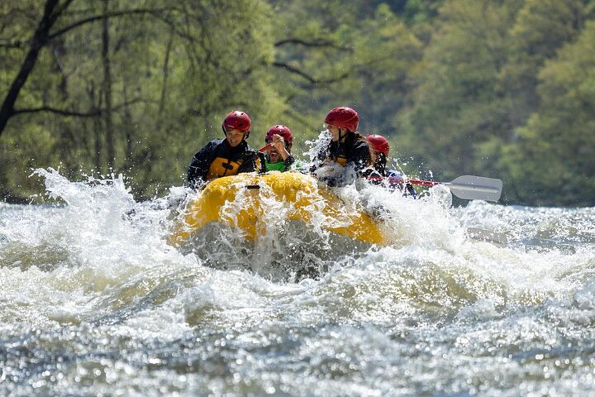 a group of people in a raft on a river
