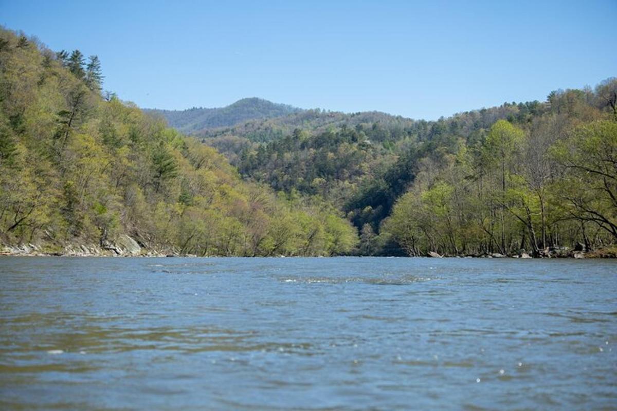 a view of a river with trees in the background