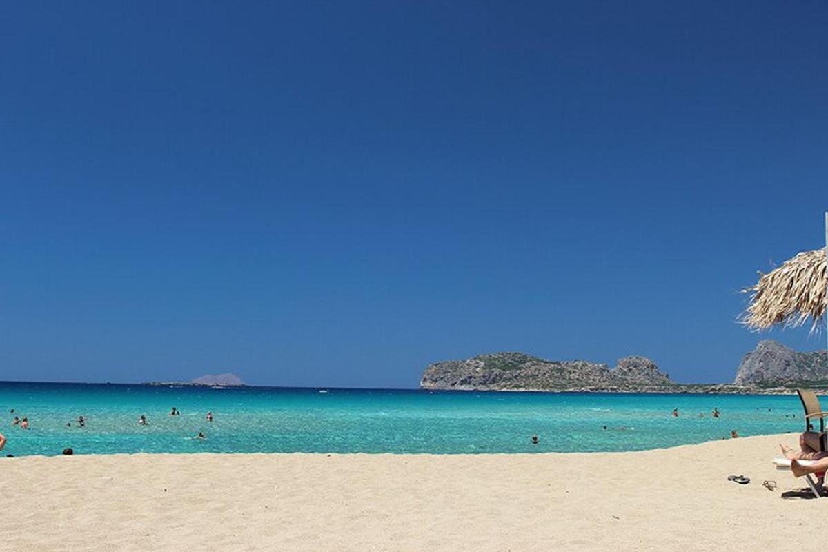 un grup de persones nedant a l'aigua d'una platja