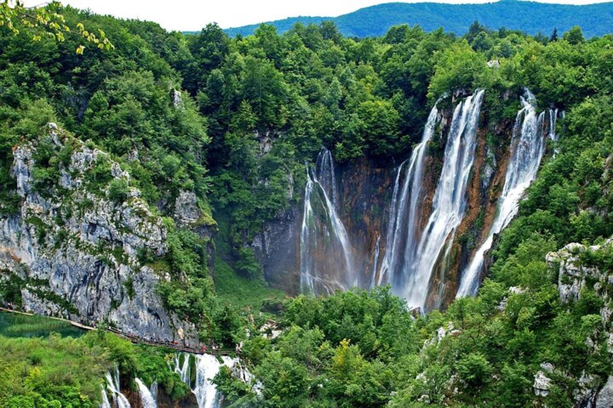 a waterfall in the middle of a forest