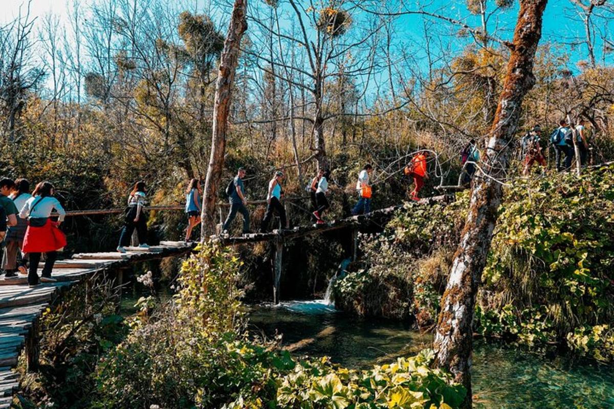 a group of people crossing a bridge over a river
