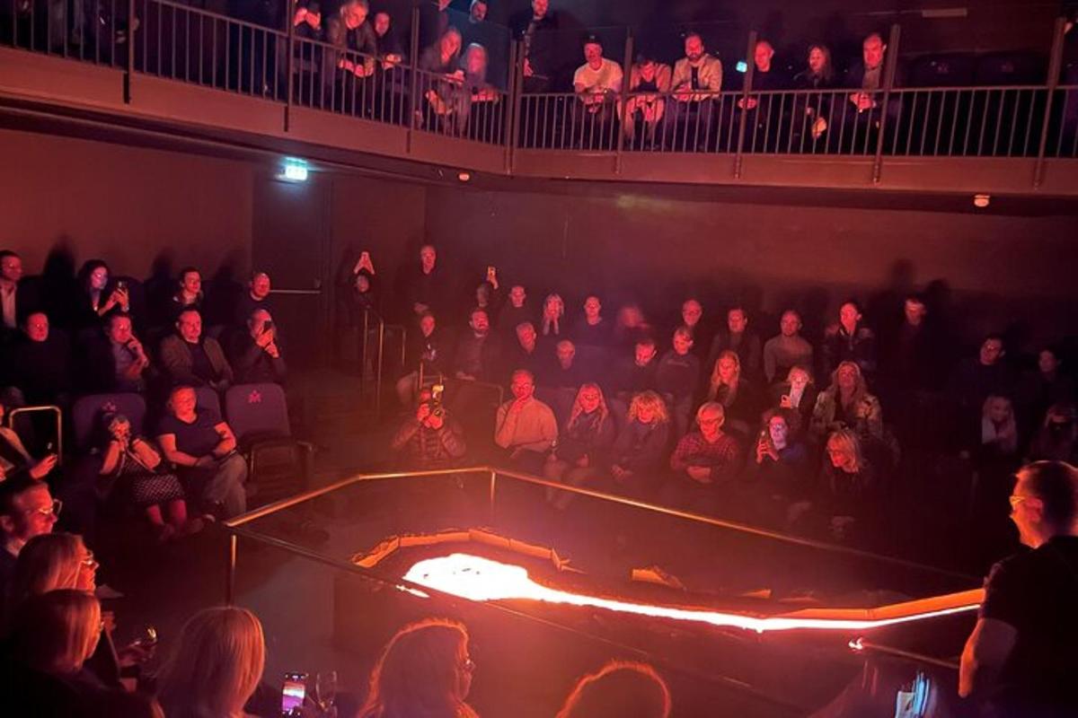 una multitud de personas en un auditorio viendo un espectáculo