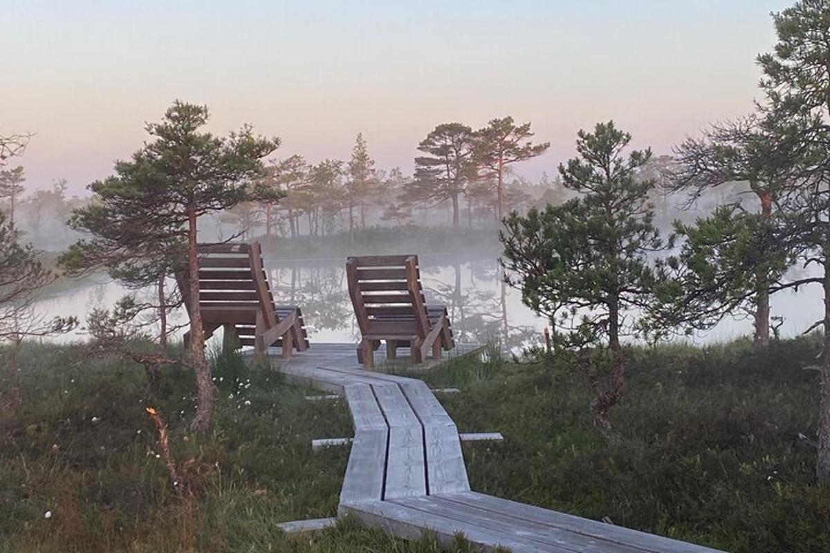 two chairs sitting on a path near a body of water