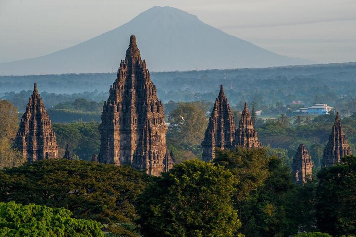 a group of large towers on a hill with trees