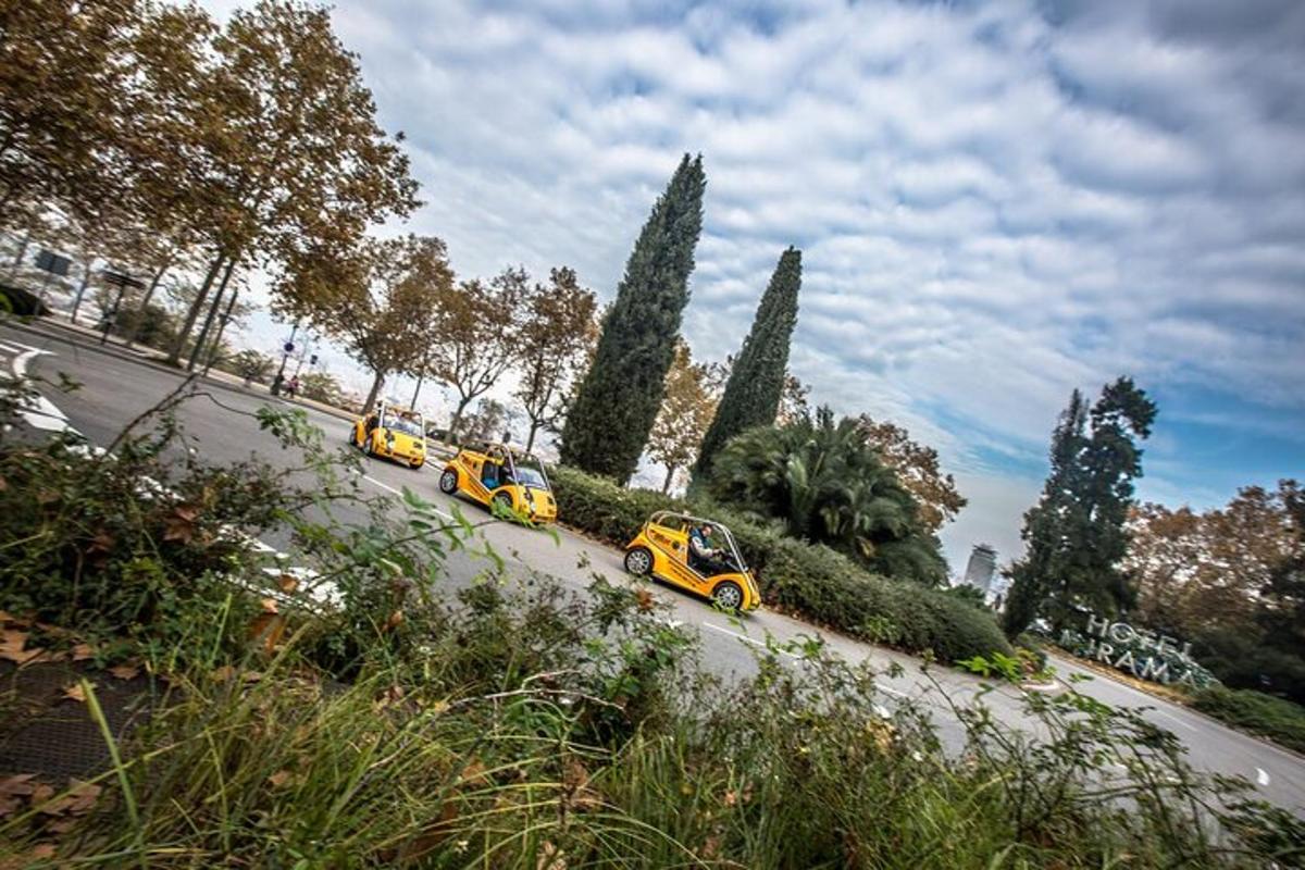 un gruppo di auto che percorrono una strada alberata