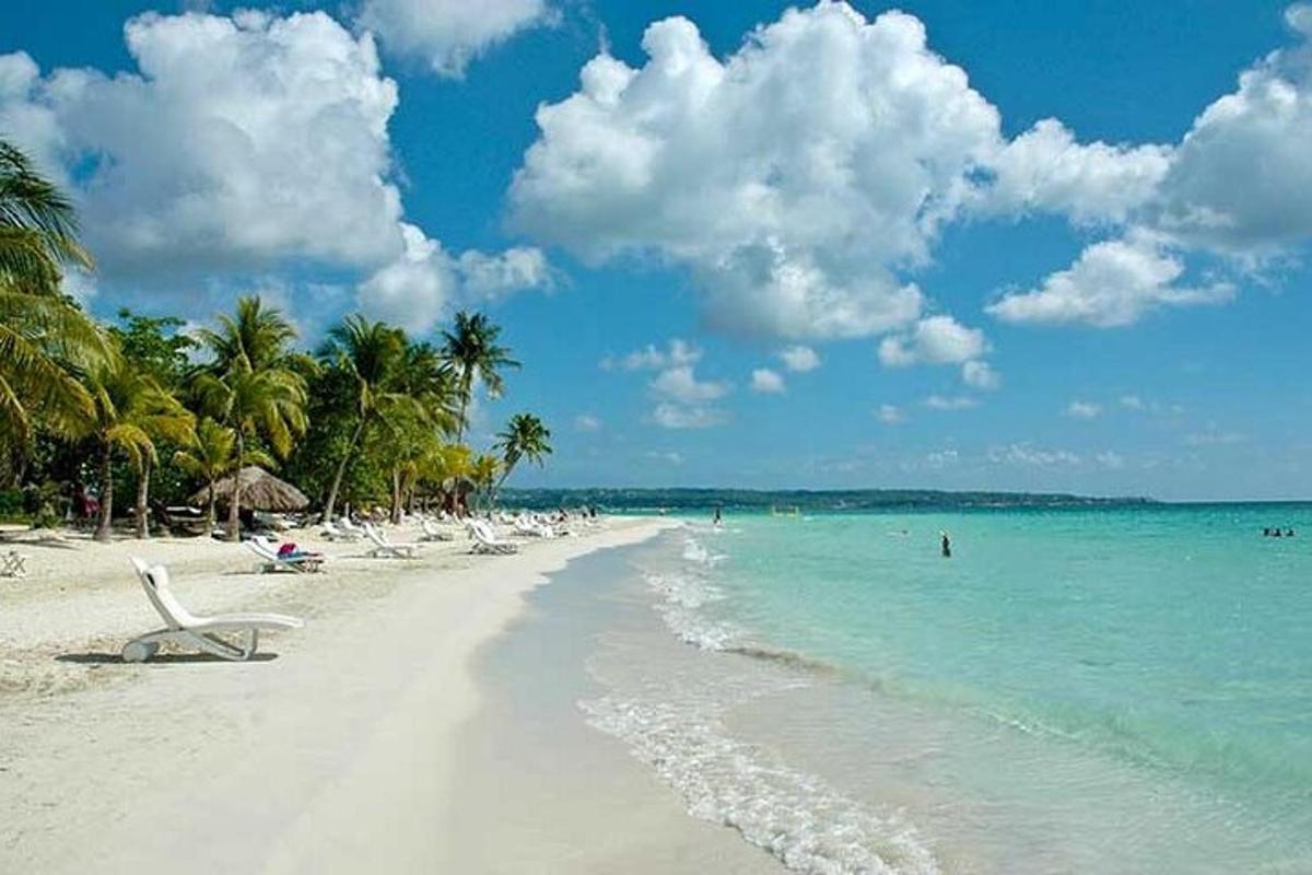 una spiaggia con un mucchio di sedie e l'oceano