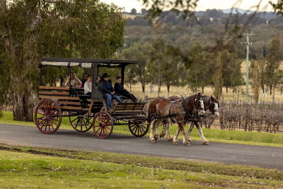 a group of people riding in a horse drawn carriage