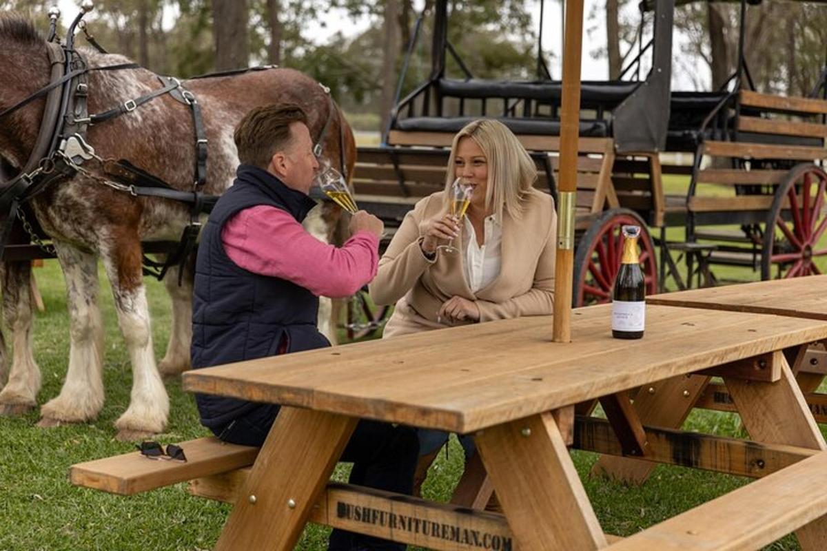 a man and woman drinking wine at a picnic table with a horse