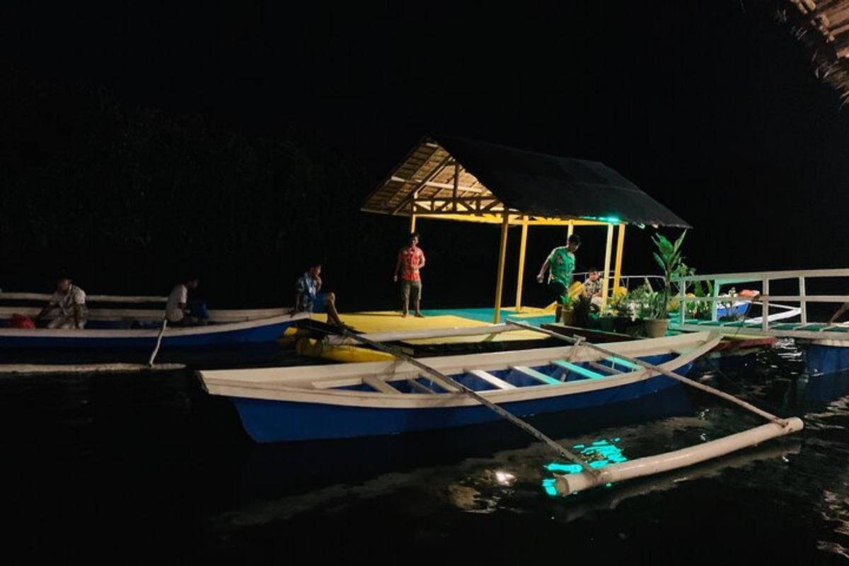a boat with a canopy on the water at night